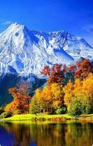 Без бренда «Осенний лес и вид на горы» в Барнауле 