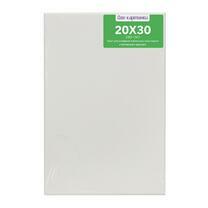 Без бренда «Коробка 80 шт.: Холст Две картинки на подрамнике 20X30» в Барнауле 