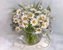 Без бренда «Букет ромашек с колосками в круглой вазе (20шт)» в Барнауле 