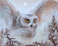 Без бренда «Полярная сова над лесом (20шт)» в Барнауле 