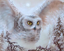 Без бренда «Полярная сова над лесом (20шт)» в Барнауле 