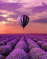 Без бренда «Фиолетовый воздушный шар над фиолетовым лавандовым полем (20шт)» в Барнауле 
