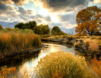 Без бренда «BOX25-GX29355» в Барнауле 