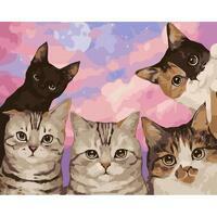 Без бренда «Такие разные котики» в Барнауле 