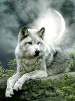 Без бренда «Коробка 25 шт. картин по номерам BOX25-GX21058» в Барнауле  в интернет-магазине  Без бренда «Коробка 25 шт. картин по номерам BOX25-GX21058» в Барнауле