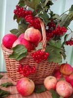 Без бренда «Коробка 25 шт. картин по номерам BOX25-GX5174» в Барнауле 