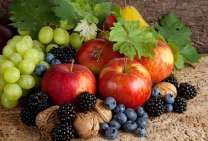 Без бренда «Фрукты, ягоды и орехи» в Барнауле 