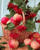 Без бренда «Плетёная корзина с калиной и яблоками» в Барнауле 