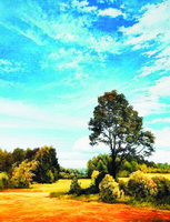 Без бренда «Осенний пейзаж с голубым небом» в Барнауле  в интернет-магазине  Без бренда «Осенний пейзаж с голубым небом» в Барнауле