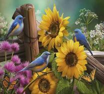 Синие птички и насекомые на подсолнухах