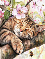 Без бренда «Волосатый котик спит на ветви яблони» в Барнауле 