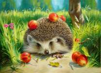 Ежик и красные яблочки